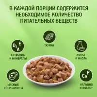 Влажный корм KiteKat для кошек, курица в желе, пауч, 85 г