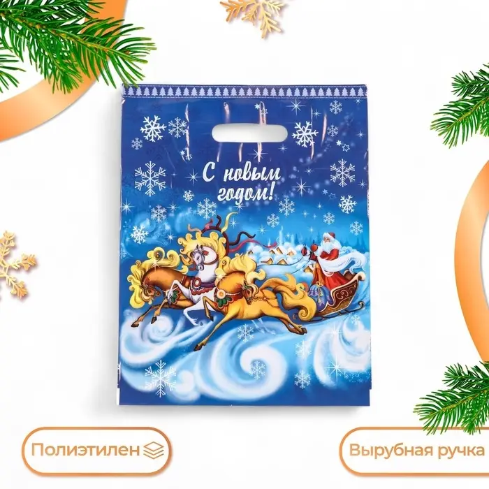 Пакет &laquo;Зимняя дорога&raquo;, полиэтиленовый с вырубной ручкой, 30&times;40 см