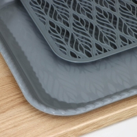 Поднос с вкладышем для сушки посуды &laquo;Колос&raquo;, 45,5&times;36 см, цвет МИКС