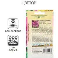 Семена Лиатрис "Пикадор", ц/п,  0,05 г