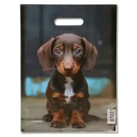 Пакет подарочный &laquo;Милая такса&raquo;, полиэтиленовый с вырубной ручкой, 30&times;40 см 50 мкм