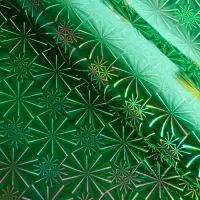 Пленка голография, зелёный, 70&times;100 см, рисунок МИКС