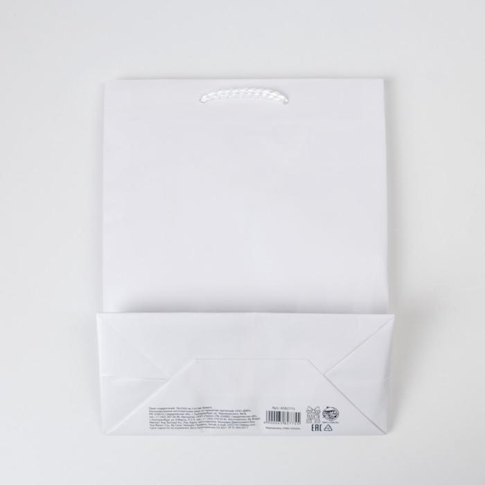 Пакет подарочный ламинированный, упаковка, &laquo;Белый&raquo;, MS 18 х 23 х 8 см