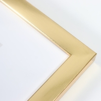 Фоторамка пластик "МИРАМ" 21х29,7 см, (A4) золото (пластиковый экран)