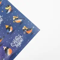 Упаковочная бумага на новый год &laquo;Птички&raquo;, 70 х 100 см, глянцевая