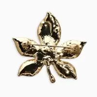 Брошь "Лист Клёна" прозрачная эмаль, цвет жёлто-коричневый в золоте