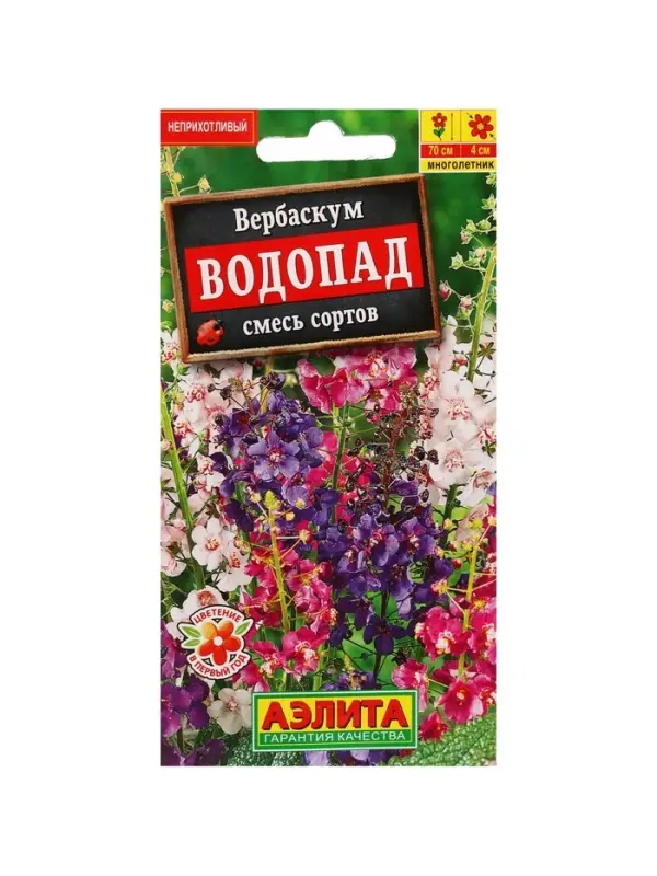 Набор семян Вербаскум "Водопад", 5 шт.