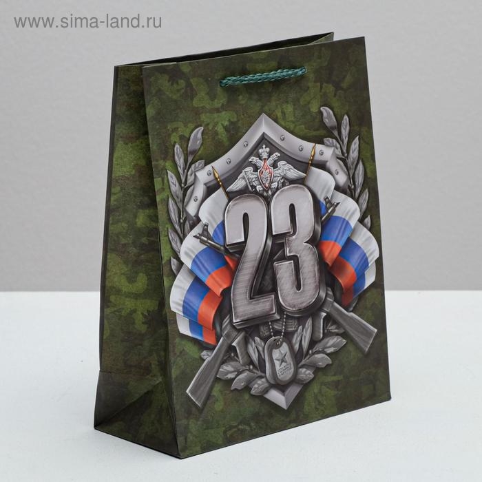 Пакет подарочный ламинированный вертикальный, упаковка, &laquo;Настоящий Защитник!&raquo;, MS 18 х 23 х 10 см