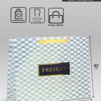 Пакет подарочный ламинированный горизонтальный &laquo;Present&raquo;, L 40 &times; 31 &times; 14 см