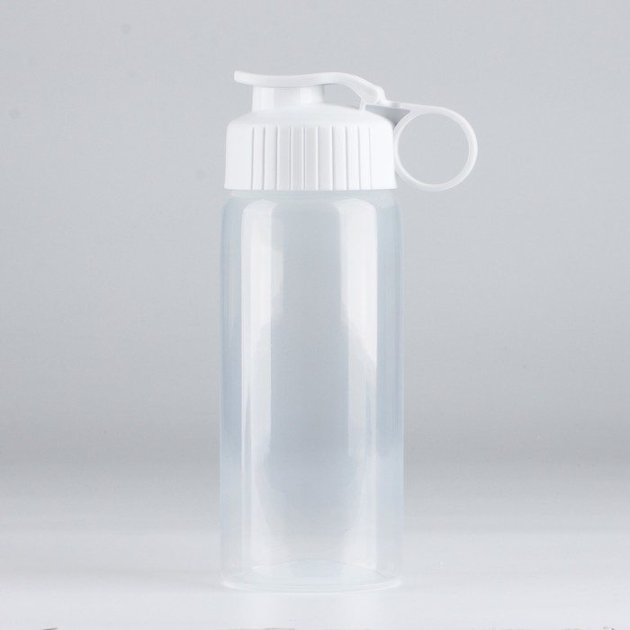 Бутылка для воды &laquo;Вид 2&raquo;, 450 мл