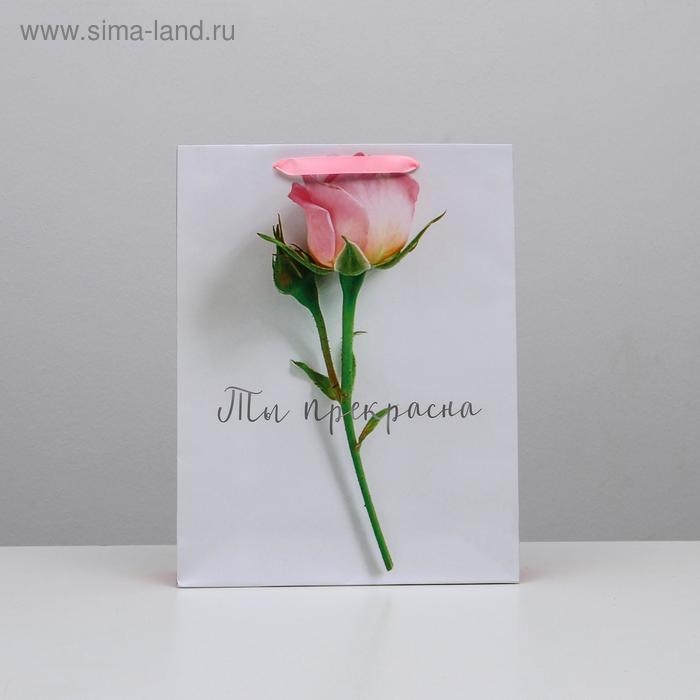 Пакет подарочный ламинированный вертикальный, упаковка, &laquo;Ты прекрасна&raquo;, L 31 х 40 х 11,5 см