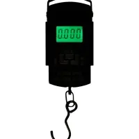 Весы-безмен LV-505, электронный, до 50 кг, точность до 10 г, подсветка, чёрный