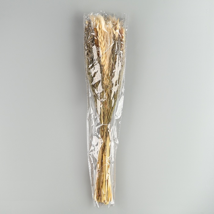 Букет из сухоцветов &laquo;Мечта&raquo;, набор из 85 шт., высота 47 см