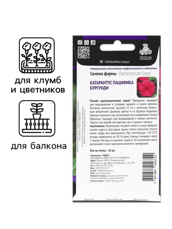 Семена цветов Катарантус Пацифика  "Бургунди" 10 шт