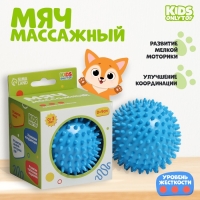 Мяч массажный ONLYTOP &laquo;Ёжик&raquo;, d= 9 см, цвет голубой