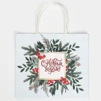 Пакет подарочный крафтовый &laquo;Рябина&raquo;, 25 х 22 х 12 см