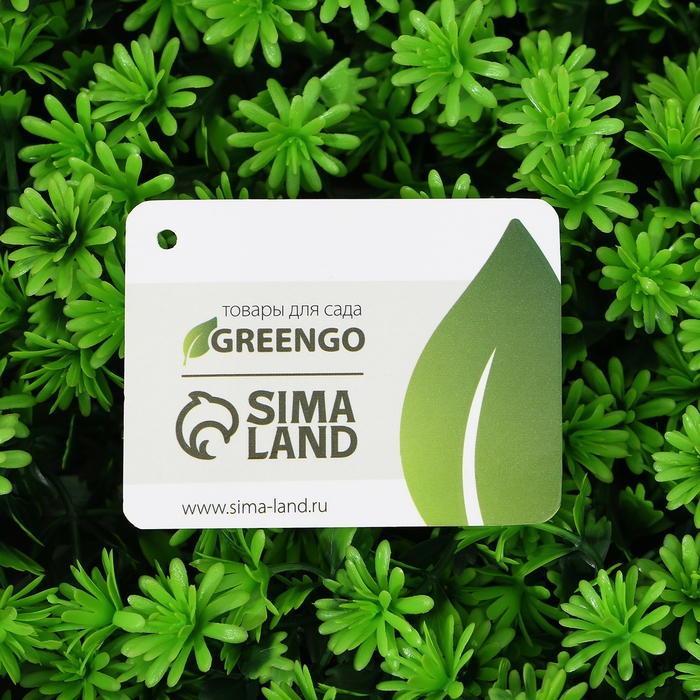 Декоративная панель, 50 &times;50 см, &laquo;Высокий мох&raquo;, Greengo