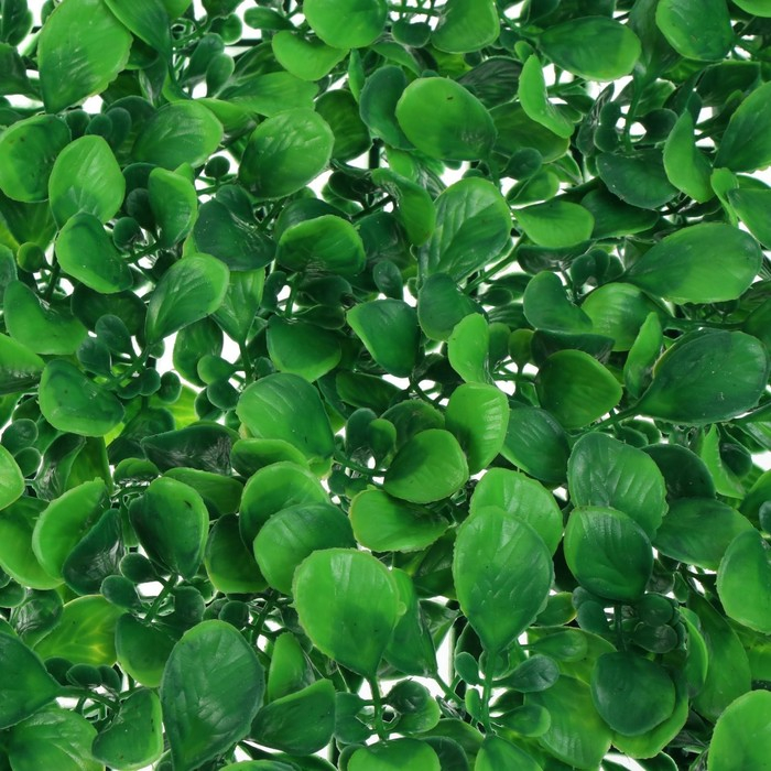 Декоративная панель, 60 &times; 40 см, &laquo;Мокрица&raquo;, Greengo