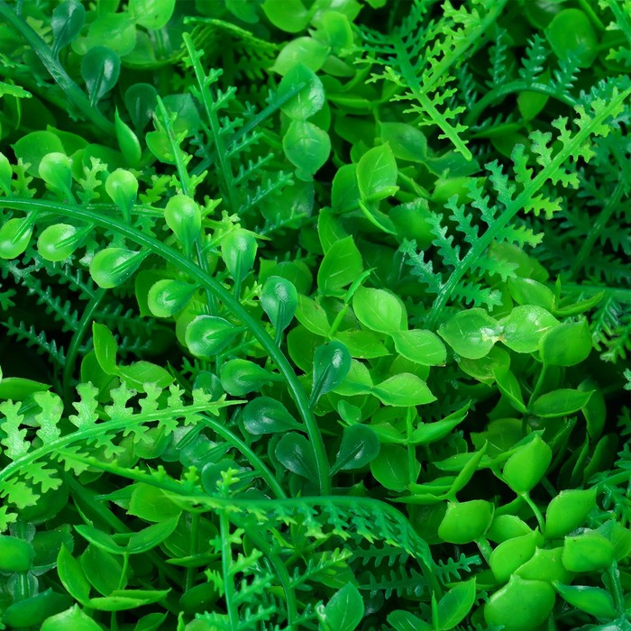 Декоративная панель, 60 &times; 40 см, &laquo;Самшит, Папоротник&raquo;, Greengo