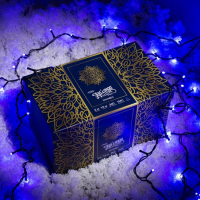 Гирлянда &laquo;Занавес&raquo; 2 &times; 1.5 м, IP44, УМС, тёмная нить, 360 LED, свечение синее, 220 В