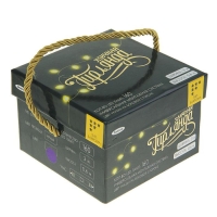 Гирлянда &laquo;Бахрома&raquo; 3 &times; 0.6 м, IP44, УМС, тёмная нить, 160 LED, свечение фиолетовое, 220 В