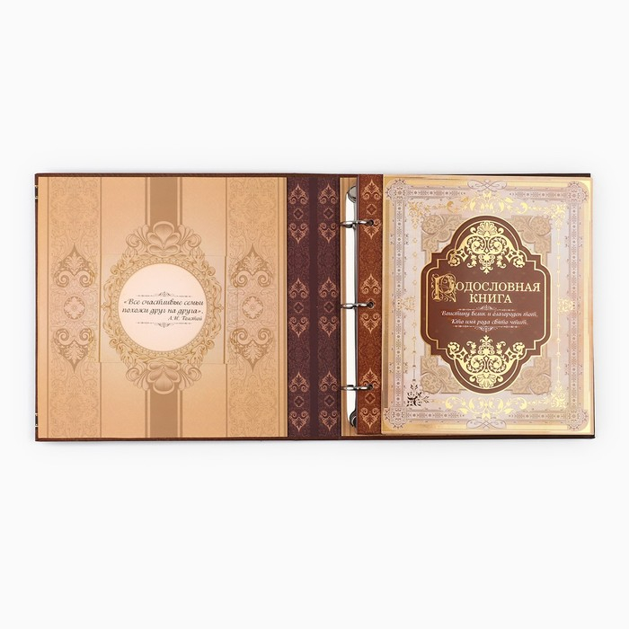 Родословная книга с рамкой под фото &laquo;Семейная летопись&raquo;, 50 листов, 21,5 х 23,7 см.