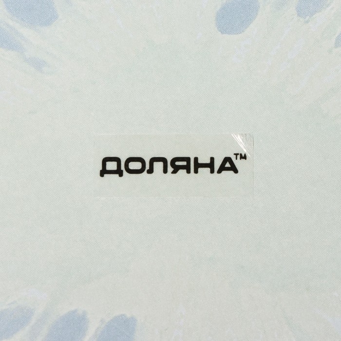 Блюдо сервировочное стеклянное овальное Доляна &laquo;Романтичный киви&raquo;, 24,5&times;15 см, цвет зелёный