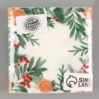 Салфетки бумажные &laquo;Новогодний аромат&raquo;, однослойные, 24х24 см, 20 шт., на новый год
