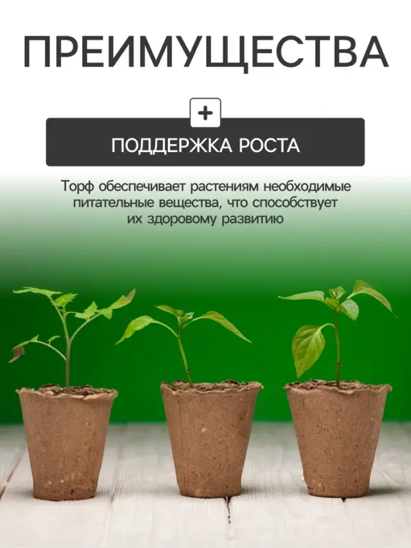 Набор для рассады: торфяной горшок 6&times;6 см, кассета на 6 ячеек, 17.5&times;13.5 см, Greengo