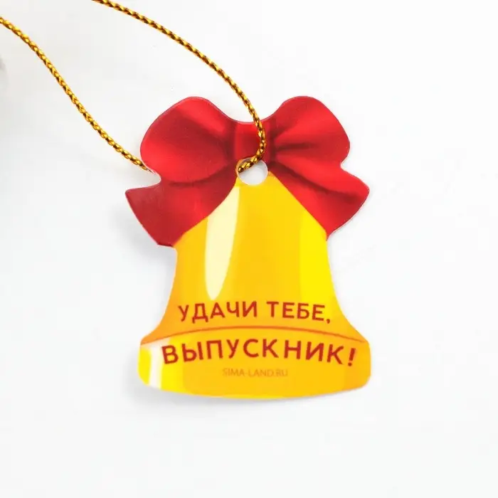 Ручка шариковая в тубусе, пластик, синяя паста, 1.0 мм &laquo;Выпускнику школы&raquo;