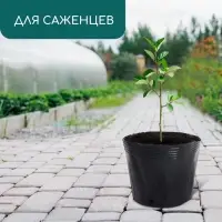 Пакет для рассады, 3,5 л, d = 20 см, h = 17 см, полиэтилен, чёрный, Greengo