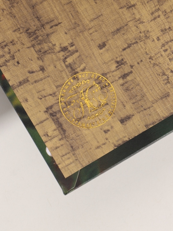 Сейф-книга дерево кожзам "Птицы. Колибри" 21х13х5 см