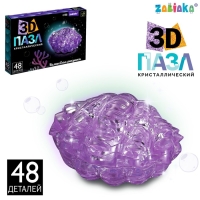3D пазл &laquo;Волшебная ракушка&raquo;, кристаллический, 48 деталей