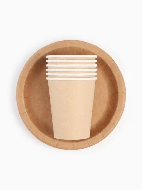 Набор посуды одноразовый &laquo;КРАФТ&raquo;: 6 стаканов, 6 тарелок