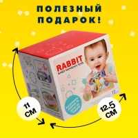 Развивающая игрушка &laquo;Кролик&raquo;, с тянучками