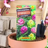 Набор семян Капуста декоративная "Принцесса", смесь окрасок, О, 5 шт.