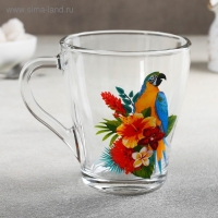 Кружка стеклянная &laquo;Тропические птицы&raquo;, 250 мл, рисунок МИКС