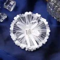 Резинка для волос бант &laquo;Школьница&raquo;, лучики серединка блеск, d=7 см, белая