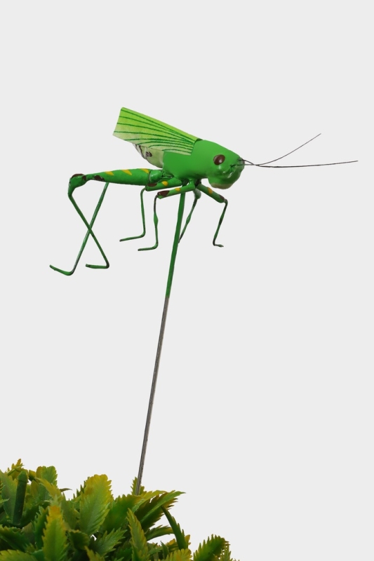 Набор штекеров &laquo;Лягушка и кузнечик&raquo;, 3.5/4 см