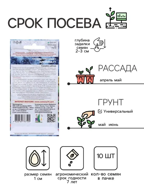 Семена Огурец "Дружина - корнишон", 10 шт