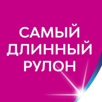 Туалетная бумага Zewa Плюс &laquo;Яблоко&raquo;, 2 слоя, 12 рулонов