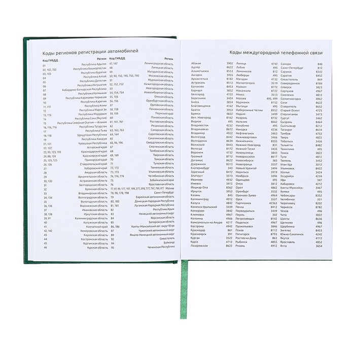 Ежедневник датированный 2024 года, А5, 176 листов, Attomex.Orion, обложка бумвинил, ляссе, блок 70 г/м2, зелёный