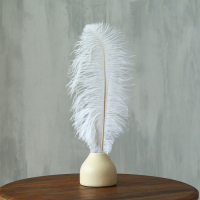 Перо для декора, длина: от 45 до 50 см, цвет белый