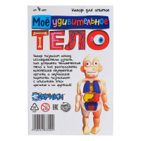 Набор для опытов &laquo;Мое удивительное тело&raquo;