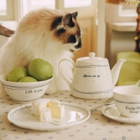 Набор салатников фарфоровых SL Home &laquo;Милый дом&raquo;, 700 мл, d=16 см, цвет белый