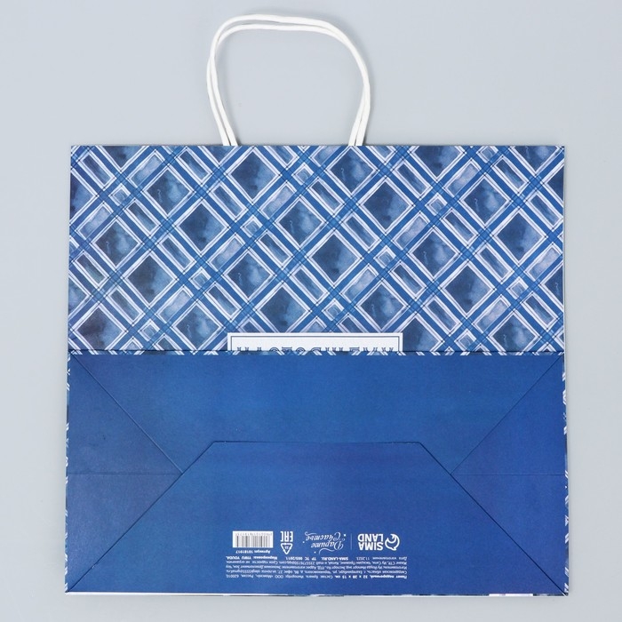 Пакет подарочный крафт, упаковка, &laquo;Джентельмен&raquo;, 32 х 28 х 15 см