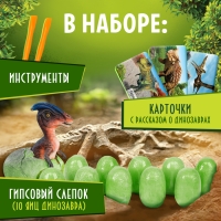 Набор для раскопок &laquo;Эпоха динозавров&raquo;