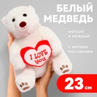 Мягкая игрушка &laquo;Медведь белый с сердцем&raquo;, 23 см