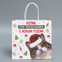 Пакет подарочный новогодний крафтовый &laquo;Котик&raquo;, 22 х 22 х 11 см, Новый год