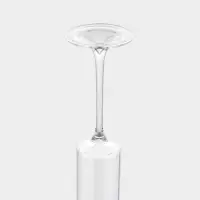 Набор бокалов для шампанского "Индиго" 2 шт, 6х24,5 см, прозрачные